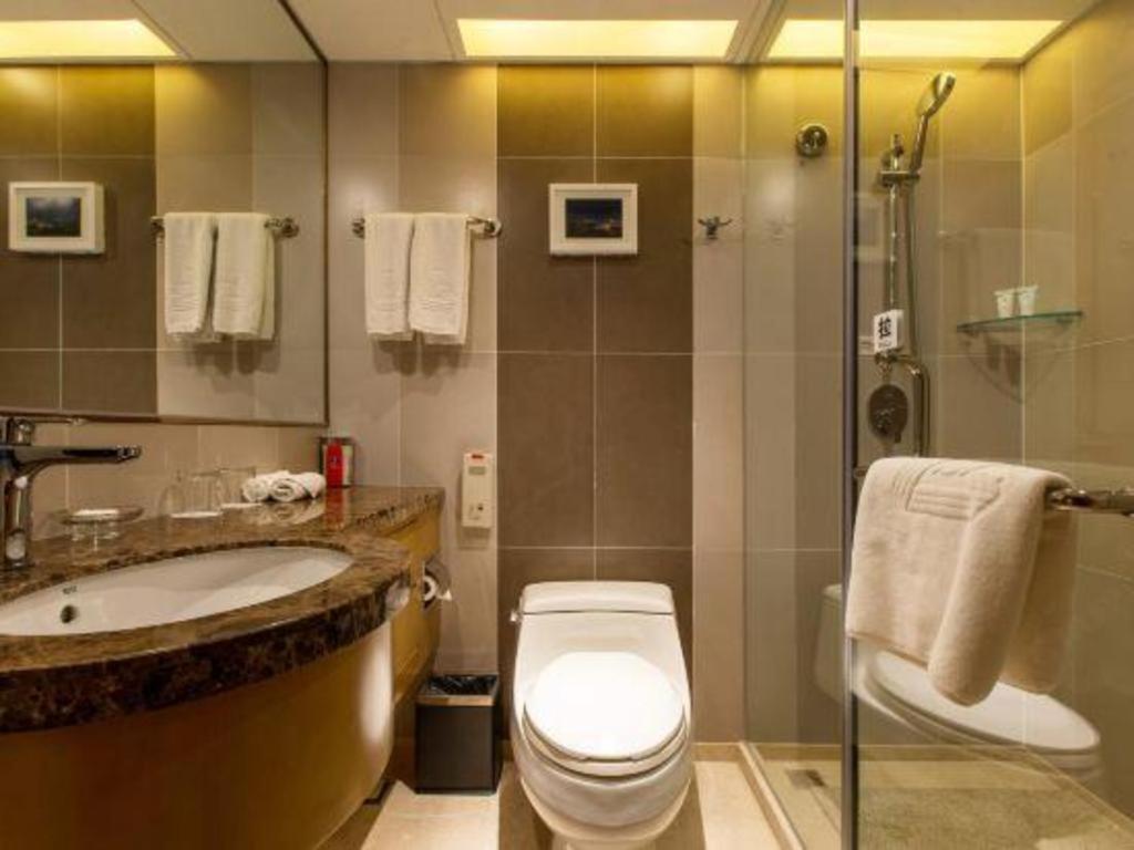 Grand Skylight Catic 4*